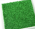 SGS được chấp thuận cho nhựa nhựa SEBS màu xanh lá cây tự nhiên