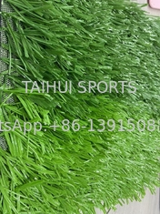 Cỏ nhân tạo 50mm cho sân bóng đá
